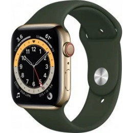 Apple Watch Series 6 (GPS+Cellular) Gold Stainless Steel Case with Sport Band